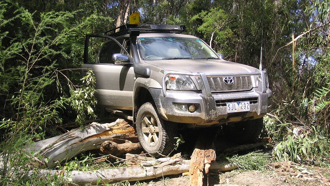 09-Goldie gets caught on a fallen tree on Kennett Wye Jeep Trk.JPG